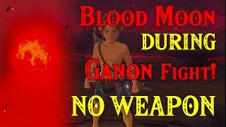 Blood Moon DURING Ganon Fight NO WEAPON  Link in Four Links Adventures within Zelda BotW [upl. by Aneris]