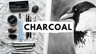 Everything I know about charcoal drawing in one video [upl. by Aryas]