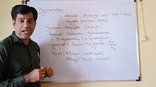 Phycomycetes Fungi Biology Biological Classification Living World NCERT NEET Kukreja GIrish [upl. by O'Donoghue]