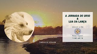 A Jornada do Urso [upl. by Mcarthur]