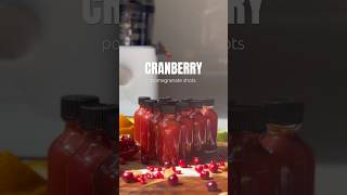 Cranberry Wellness Shot Recipe  Juicing Recipe wellness healthydrinks mocktails shortsrecipe [upl. by Analart640]