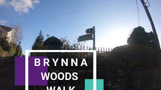 Brynna Woods Circular Walk [upl. by Weiss]