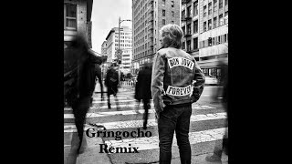 BJ Legendary Gringocho Remix [upl. by Okomot]