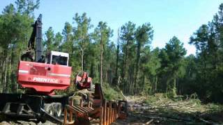 Hna timber 3 pt1 prentice 2384 log loader [upl. by Meg]