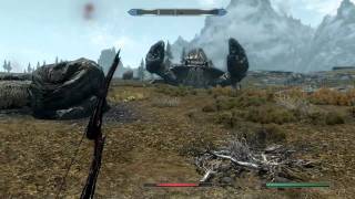 Skyrim  Giant Mud Crab [upl. by Dianuj]