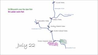 Whooshh Selective Fish Passage  How it Works [upl. by Joey]