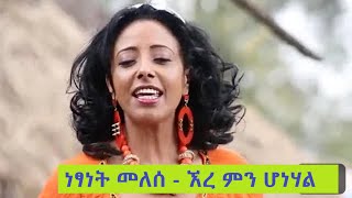 Netsanet Melesse – Ere Min Honehal ነፃነት መለሰ  ኧረ ምን ሆነሃል [upl. by Jesus674]