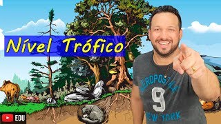 Nível Trófico  Ecologia  Biologia com o Tubarão [upl. by Akerdnahs]