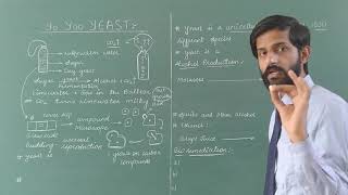 Useful and harmful microbes  Lecture 3  Yeast  Alcohol Production  Bioremediation  Alcanivorax [upl. by Bogusz]