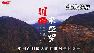 超清航拍 川西秘境米亚罗风景区 中国面积最大的红叶风景区之一 [upl. by Shuman]