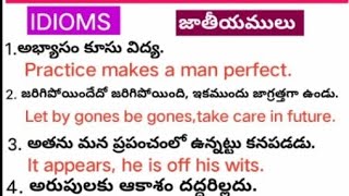 Idioms examples  జాతీయములు English Vocabulary competitive exams D Sc APBUJJIBABUSPOKENENGLISH [upl. by Brennan604]