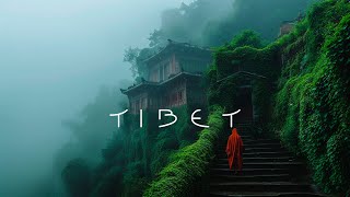 Tibet  Healing Ethereal Ambient Meditation  Relaxing Sleep Ambient Music [upl. by Gothard845]