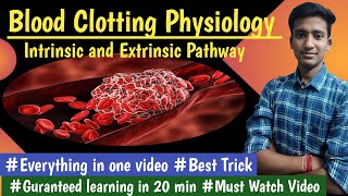 Intrinsic and Extrinsic Pathway  Blood Coagulation Physio LecturesMBBS hindi Ashish [upl. by Yemrots]