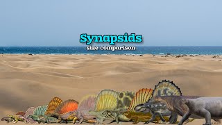 SYNAPSIDS  Size Comparison [upl. by Donni]