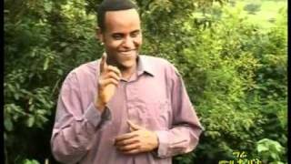 EthiopianGuragigna musicDesalegn MershaSherer ShererDAT [upl. by Doowyah]