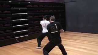 LIU HE TANG LANG DUAN CHUI SHORT HAMMER FIST [upl. by Colligan]