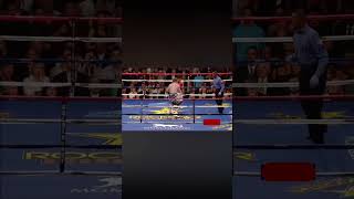 PACQUIAO VS HATTON boxing pacquiao [upl. by Atterys247]