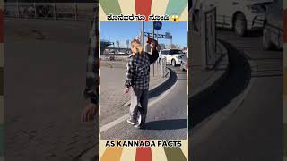 Amazing Road Crossing Fact  kannada facts karnataka amazing youtubeshorts trendingshorts [upl. by Goodill]