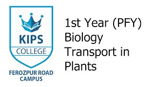 Transport in plants  1st Year Biology [upl. by Rosemaria838]