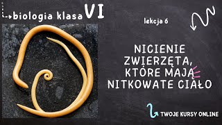 Biologia klasa 6 Lekcja 6  Nicienie  zwierzęta które mają nitkowate ciało [upl. by Lledyl]