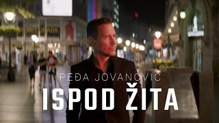 PEDJA JOVANOVIC  ISPOD ZITA OFFICIAL VIDEO 2023 [upl. by Burkitt]