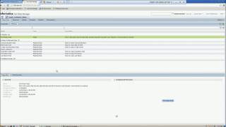 Informatica Test Data Management – Demo [upl. by Kaasi]