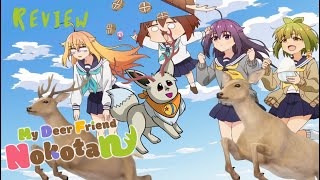 My Deer Friend Nokotan is the funniest anime I’ve ever seen Review [upl. by Einoj]