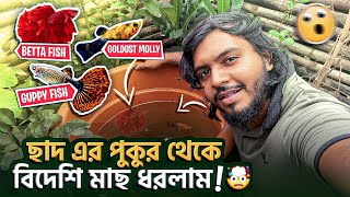 ছাদের পুকুর থেকে বিদেশী মাছ ধরলাম l Doggo Sage l Pets amp Animals [upl. by Asta]