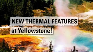 NEW THERMAL FEATURES at Yellowstone Yellowstone Volcano Update July 2023 [upl. by Denton]