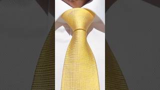 How to Tie a Tie  Easy Windsor Knot [upl. by Anhsirk]