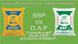 SSP vs DAP  Single Super Phosphate and Diammonium Phosphate Fertilizer Future Tech Agriculture [upl. by Crowley78]