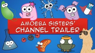 The Amoeba Sisters YouTube Trailer OLD VIDEO [upl. by Gonzalo]