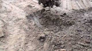 Extreme Soil Liquefaction [upl. by Ribaj744]