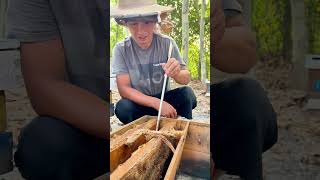 The Best Beekeeping Hive Tool How to use a Hive Tool [upl. by Arvad]