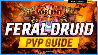 Feral Druid The War Within PvP Guide  Best Hero Talents PvP Talents Race Gear amp Macros [upl. by Butte]