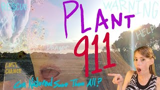 PLANT 911 SAVED from CONSTRUCTION site RESCUE 🚑EMERGENCY TRANSPLANT 🌻How To Level EASY🪴 garden [upl. by Agon141]