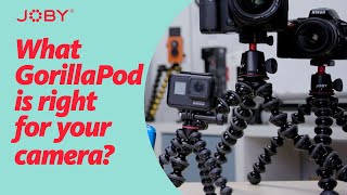 What GorillaPod is Right For Your Camera [upl. by Romilda]