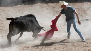 TORO DE 11 2010 VALLE DE GUADALUPE JAL MEX [upl. by Oralla63]