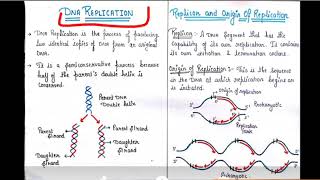 What is DNA Replication bubble and how it works [upl. by Earl]