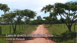 Fazenda Em Anaurilândia com 2100 Hectares [upl. by Aiuqet]