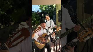 No Me Quieras Tanto  Los Panchos  Bay Area Mariachi Trio  Trio Mariachi Tepatitlan [upl. by Olmsted828]