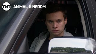 Animal Kingdom Heist  Season 2 SNEAK PEEK  TNT [upl. by Ahsieken]