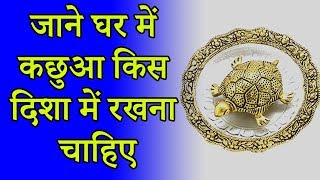 Vastu tips  जाने घर में कछुआ किस दिशा में रखना चाहिए [upl. by Leirrad753]