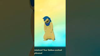 Shiny Quilava to Typhlosion Evolution He’s dopey but I love it Please Subscribe shorts pokemon [upl. by Aisital250]