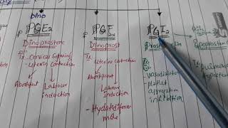 Variant of Prostaglandin with uses [upl. by Fabrianna30]