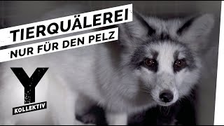 Pelz Wie Tiere für unsere FashionTrends leiden [upl. by Mikahs470]