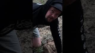 Fangin A Florin Pt2 Metal Detecting silver [upl. by Hermia762]