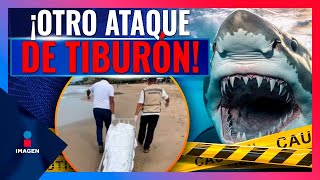 Turista belga muere tras el ataque de un tiburón en Zihuatanejo  Noticias con Francisco Zea [upl. by Nauquf76]