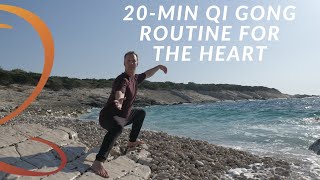 20Min Beginners Qi Gong Routine for a Healthy Heart  Qi Gong Class with Lee Holden [upl. by Evita384]