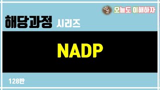 오이과학 128반 해당 과정 시리즈  NADP니코틴아마이드 아데닌 디뉴클레오타이드 인산까지 [upl. by Anonyw]